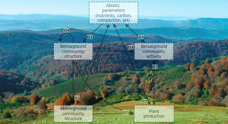 The Community Structures of Prokaryotes and Fungi in Mountain Pasture Soils are Highly Correlated and Primarily Influenced by pH