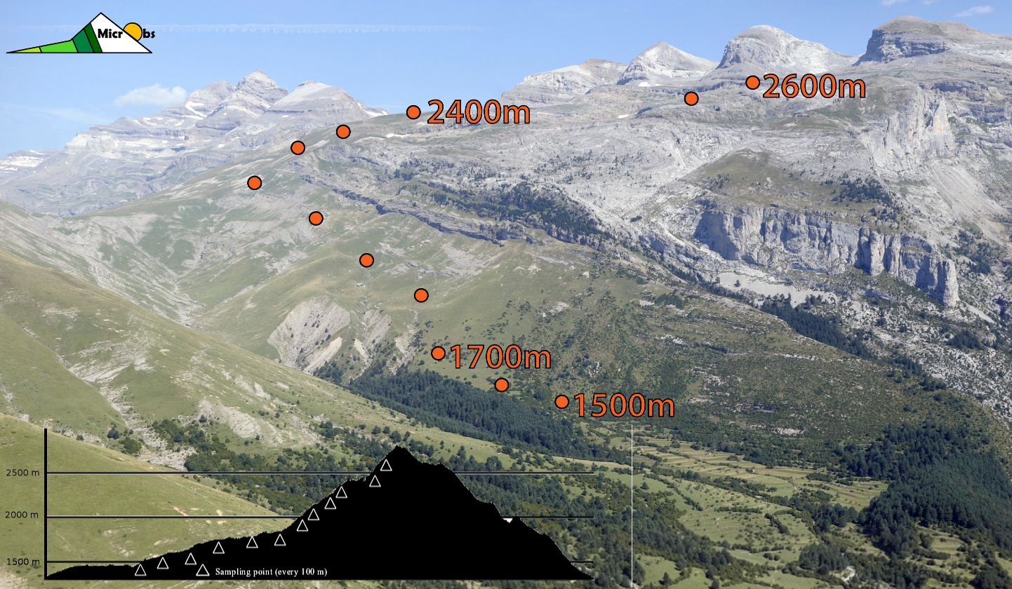 Multi-targeted metagenetic analysis of the influence of climate and environmental parameters on soil microbial communities along an elevational gradient