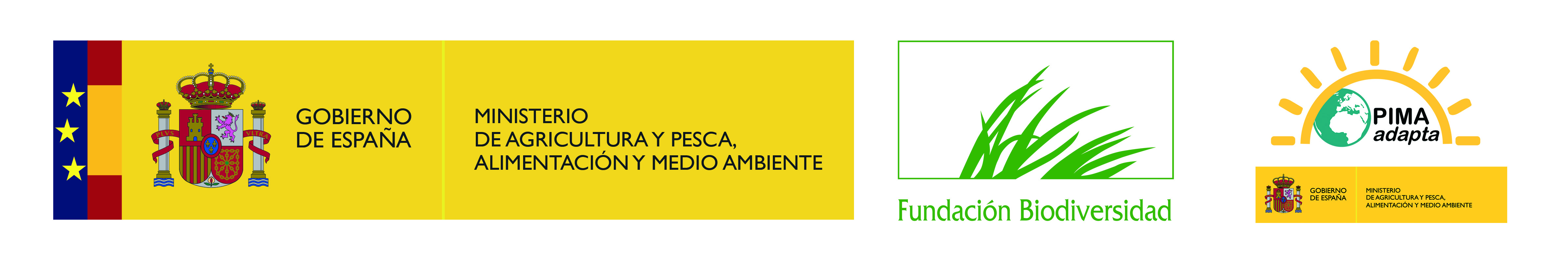 LOGO_FB_PIMA_COLOR_para_web