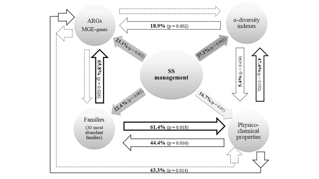 Agricultural soils amended with thermally-dried anaerobically-digested sewage sludge showed increased risk of antibiotic resistance dissemination