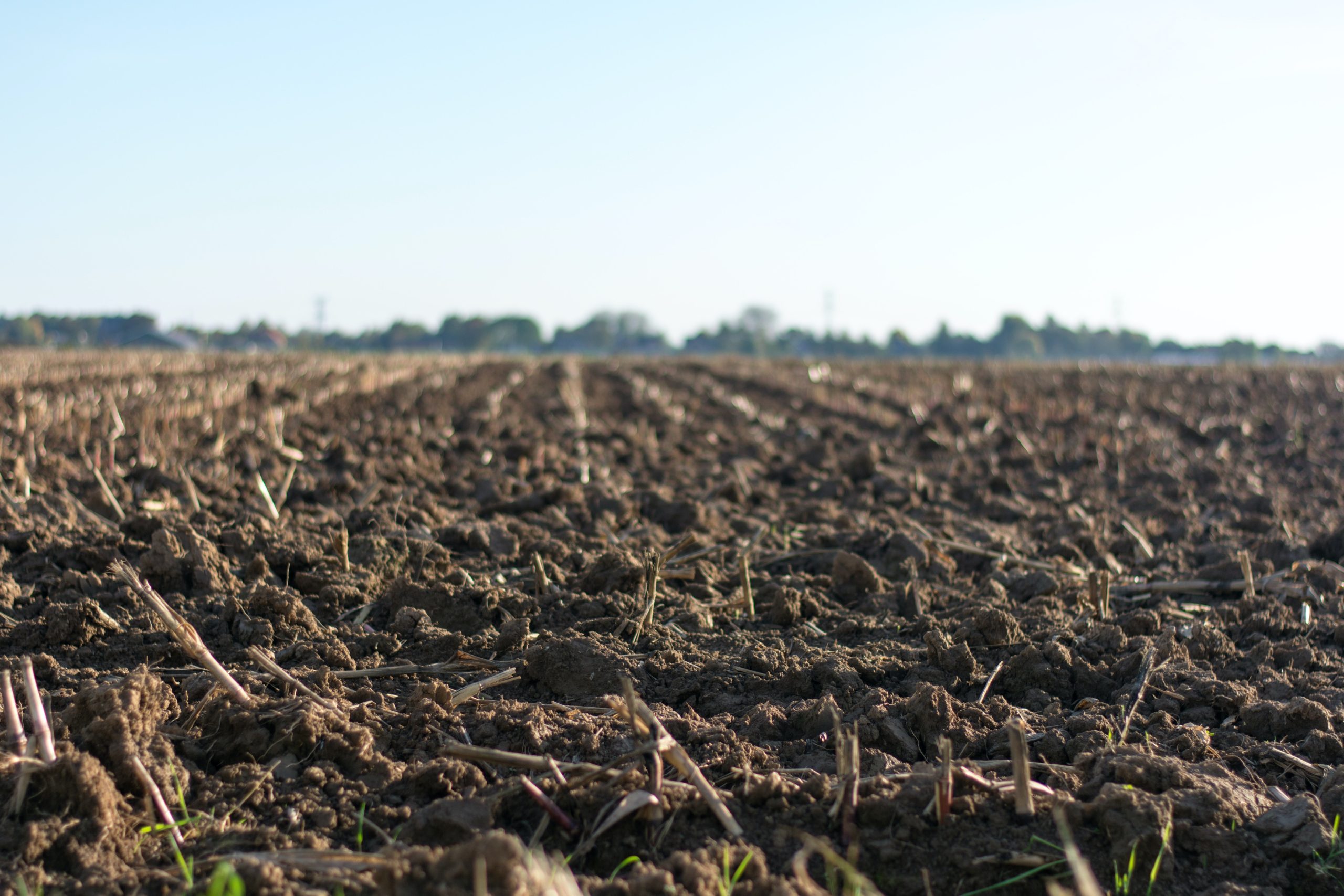 Accelerating collection and use of soil health information using AI technology to support the Soil Deal for Europe and EU Soil Observatory (AI4SoilHealth; 2023-2026)