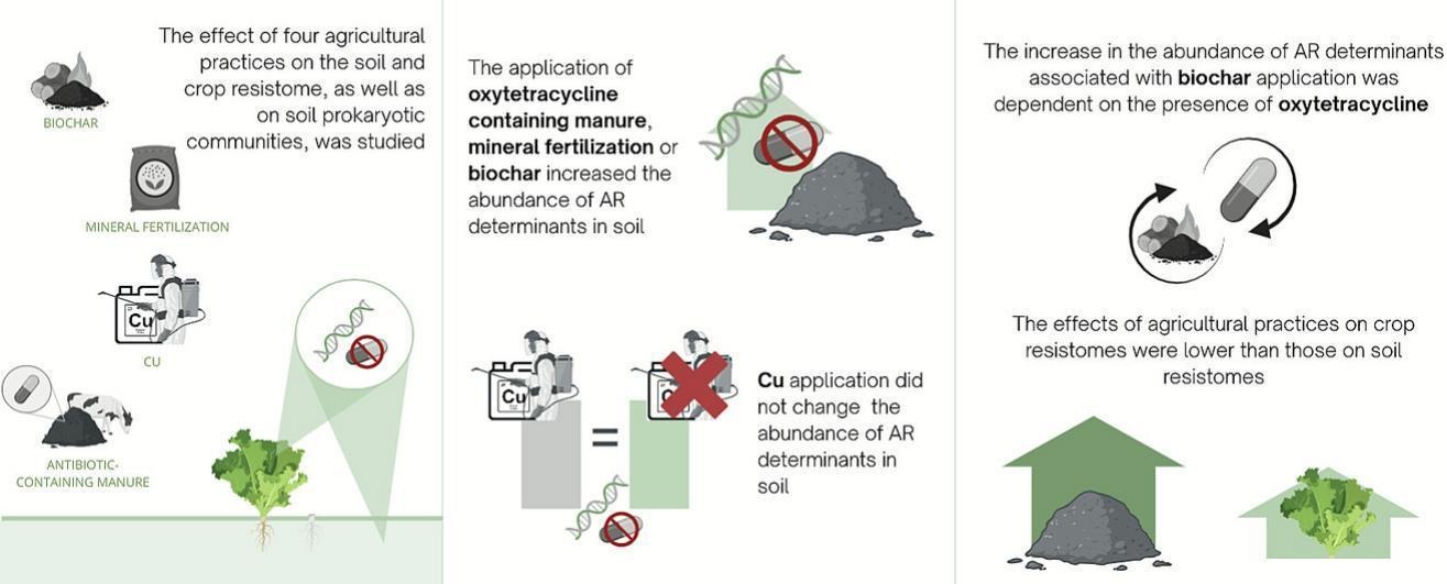 Oxytetracycline-containing manure and mineral fertilization increase the abundance of antibiotic resistance genes in lettuce-grown soil